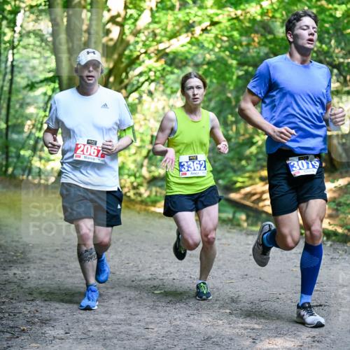 28.09.2025 - 33. Volkslauf durch das schöne Alstertal Dr. Thomas Lammeyer http://msf.ph/oto/8956312 28.09.2025 10:44:22 Laufen 2067, 3362, 3079 meine-sportfotos.de