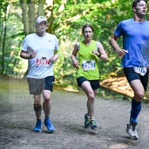 28.09.2025 - 33. Volkslauf durch das schöne Alstertal Dr. Thomas Lammeyer http://msf.ph/oto/8956313 28.09.2025 10:44:22 Laufen 2067, 3362, 3079 meine-sportfotos.de