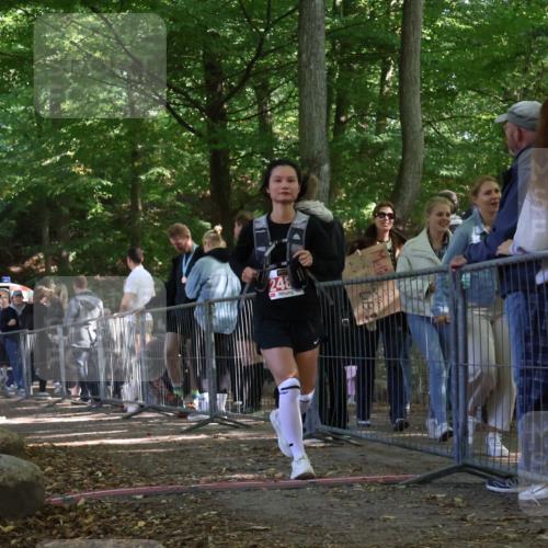 28.09.2025 - 33. Volkslauf durch das schöne Alstertal Strokosch-Dieckow http://msf.ph/oto/8956322 28.09.2025 12:51:30 Ziel 2488 meine-sportfotos.de