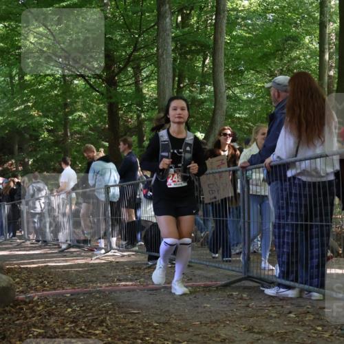 28.09.2025 - 33. Volkslauf durch das schöne Alstertal Strokosch-Dieckow http://msf.ph/oto/8956330 28.09.2025 12:51:31 Ziel 2488 meine-sportfotos.de