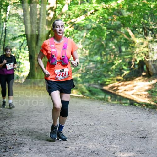 28.09.2025 - 33. Volkslauf durch das schöne Alstertal Dr. Thomas Lammeyer http://msf.ph/oto/8956346 28.09.2025 10:44:40 Laufen 2278 meine-sportfotos.de