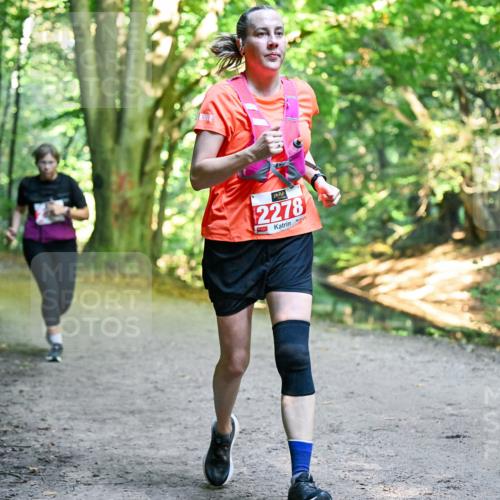 28.09.2025 - 33. Volkslauf durch das schöne Alstertal Dr. Thomas Lammeyer http://msf.ph/oto/8956351 28.09.2025 10:44:41 Laufen 2278 meine-sportfotos.de