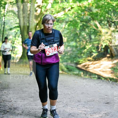 28.09.2025 - 33. Volkslauf durch das schöne Alstertal Dr. Thomas Lammeyer http://msf.ph/oto/8956368 28.09.2025 10:44:43 Laufen 2623 meine-sportfotos.de
