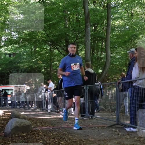 28.09.2025 - 33. Volkslauf durch das schöne Alstertal Strokosch-Dieckow http://msf.ph/oto/8956397 28.09.2025 12:51:54 Ziel 2580 meine-sportfotos.de