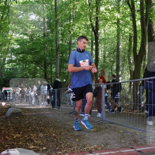 28.09.2025 - 33. Volkslauf durch das schöne Alstertal Strokosch-Dieckow http://msf.ph/oto/8956416 28.09.2025 12:51:55 Ziel 2580 meine-sportfotos.de