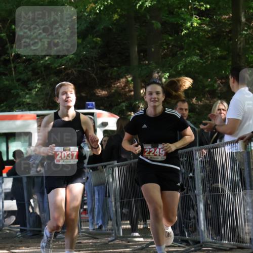28.09.2025 - 33. Volkslauf durch das schöne Alstertal Strokosch-Dieckow http://msf.ph/oto/8956433 28.09.2025 12:52:10 Ziel 2037, 2249, 2440 meine-sportfotos.de
