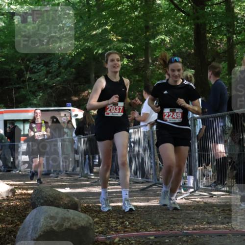 28.09.2025 - 33. Volkslauf durch das schöne Alstertal Strokosch-Dieckow http://msf.ph/oto/8956449 28.09.2025 12:52:12 Ziel 2037, 2249, 2440 meine-sportfotos.de