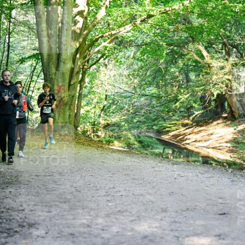 28.09.2025 - 33. Volkslauf durch das schöne Alstertal Dr. Thomas Lammeyer http://msf.ph/oto/8956450 28.09.2025 10:45:00 Laufen 2426, 3939 meine-sportfotos.de