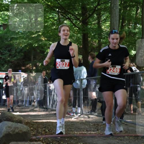 28.09.2025 - 33. Volkslauf durch das schöne Alstertal Strokosch-Dieckow http://msf.ph/oto/8956454 28.09.2025 12:52:13 Ziel 2037, 2249, 2440 meine-sportfotos.de