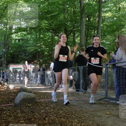28.09.2025 - 33. Volkslauf durch das schöne Alstertal Strokosch-Dieckow http://msf.ph/oto/8956462 28.09.2025 12:52:14 Ziel 2037, 2249, 2440 meine-sportfotos.de
