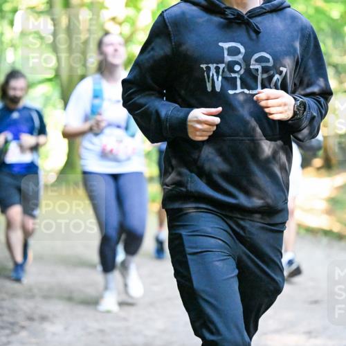 28.09.2025 - 33. Volkslauf durch das schöne Alstertal Dr. Thomas Lammeyer http://msf.ph/oto/8956480 28.09.2025 10:45:04 Laufen  meine-sportfotos.de
