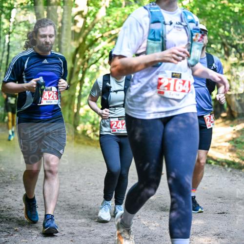 28.09.2025 - 33. Volkslauf durch das schöne Alstertal Dr. Thomas Lammeyer http://msf.ph/oto/8956485 28.09.2025 10:45:05 Laufen 426, 242, 2164, 24, 13241 meine-sportfotos.de