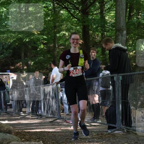 28.09.2025 - 33. Volkslauf durch das schöne Alstertal Strokosch-Dieckow http://msf.ph/oto/8956503 28.09.2025 12:52:17 Ziel 2440 meine-sportfotos.de