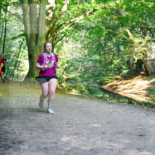 28.09.2025 - 33. Volkslauf durch das schöne Alstertal Dr. Thomas Lammeyer http://msf.ph/oto/8956517 28.09.2025 10:45:12 Laufen 409 meine-sportfotos.de