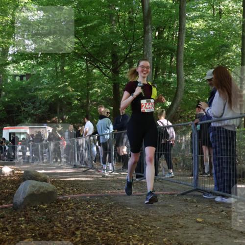 28.09.2025 - 33. Volkslauf durch das schöne Alstertal Strokosch-Dieckow http://msf.ph/oto/8956518 28.09.2025 12:52:18 Ziel 2440 meine-sportfotos.de