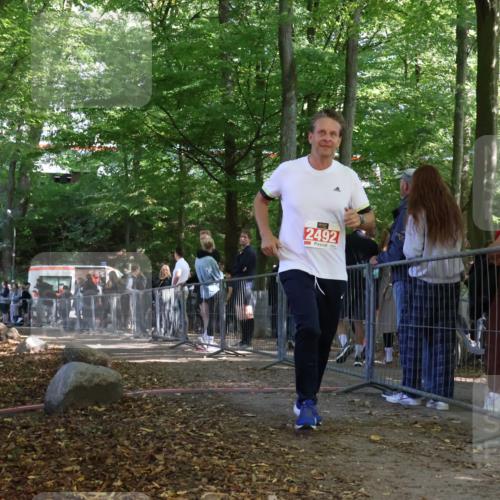28.09.2025 - 33. Volkslauf durch das schöne Alstertal Strokosch-Dieckow http://msf.ph/oto/8956553 28.09.2025 12:52:43 Ziel 2492 meine-sportfotos.de