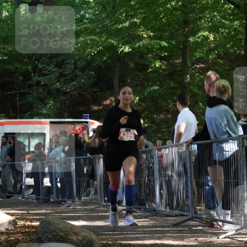 28.09.2025 - 33. Volkslauf durch das schöne Alstertal Strokosch-Dieckow http://msf.ph/oto/8956578 28.09.2025 12:52:52 Ziel 2399 meine-sportfotos.de