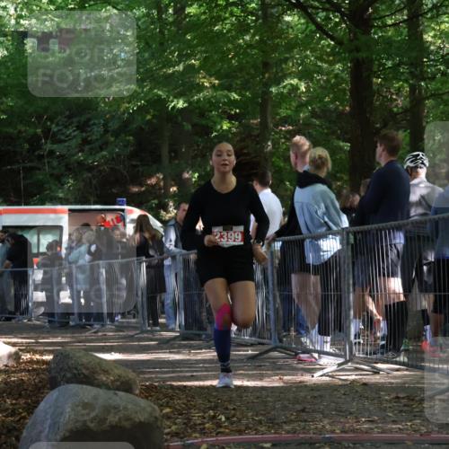 28.09.2025 - 33. Volkslauf durch das schöne Alstertal Strokosch-Dieckow http://msf.ph/oto/8956587 28.09.2025 12:52:53 Ziel 2399 meine-sportfotos.de