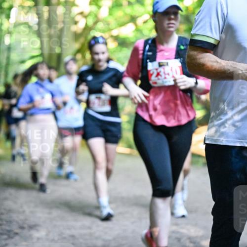28.09.2025 - 33. Volkslauf durch das schöne Alstertal Dr. Thomas Lammeyer http://msf.ph/oto/8956591 28.09.2025 10:45:22 Laufen 2350, 2492 meine-sportfotos.de