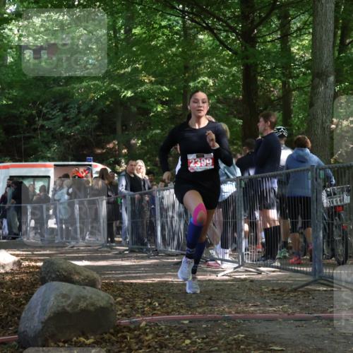 28.09.2025 - 33. Volkslauf durch das schöne Alstertal Strokosch-Dieckow http://msf.ph/oto/8956598 28.09.2025 12:52:53 Ziel 2399 meine-sportfotos.de