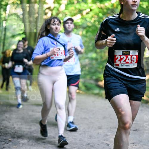 28.09.2025 - 33. Volkslauf durch das schöne Alstertal Dr. Thomas Lammeyer http://msf.ph/oto/8956600 28.09.2025 10:45:23 Laufen 2249 meine-sportfotos.de