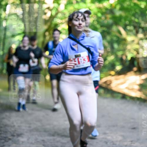28.09.2025 - 33. Volkslauf durch das schöne Alstertal Dr. Thomas Lammeyer http://msf.ph/oto/8956604 28.09.2025 10:45:24 Laufen 193 meine-sportfotos.de