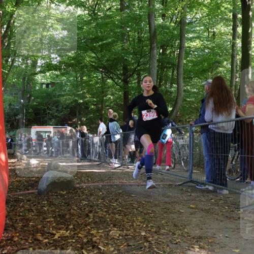 28.09.2025 - 33. Volkslauf durch das schöne Alstertal Strokosch-Dieckow http://msf.ph/oto/8956619 28.09.2025 12:52:54 Ziel 2399 meine-sportfotos.de