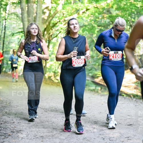 28.09.2025 - 33. Volkslauf durch das schöne Alstertal Dr. Thomas Lammeyer http://msf.ph/oto/8956631 28.09.2025 10:45:28 Laufen 368, 2099, 2100, 2244 meine-sportfotos.de