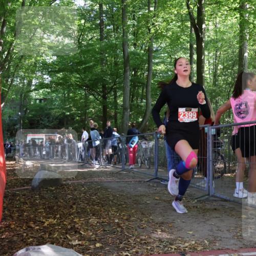 28.09.2025 - 33. Volkslauf durch das schöne Alstertal Strokosch-Dieckow http://msf.ph/oto/8956634 28.09.2025 12:52:55 Ziel 2399 meine-sportfotos.de