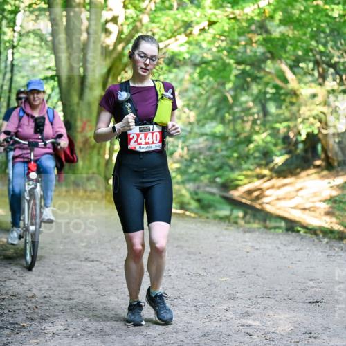 28.09.2025 - 33. Volkslauf durch das schöne Alstertal Dr. Thomas Lammeyer http://msf.ph/oto/8956702 28.09.2025 10:45:43 Laufen 2440 meine-sportfotos.de