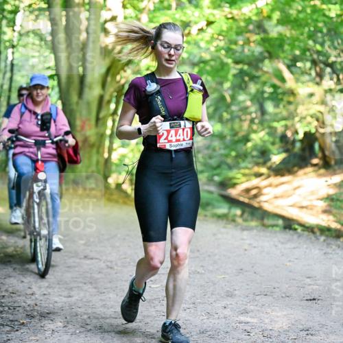 28.09.2025 - 33. Volkslauf durch das schöne Alstertal Dr. Thomas Lammeyer http://msf.ph/oto/8956705 28.09.2025 10:45:44 Laufen 2440 meine-sportfotos.de