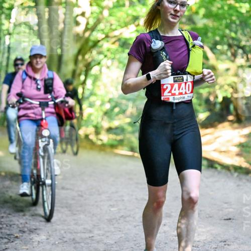 28.09.2025 - 33. Volkslauf durch das schöne Alstertal Dr. Thomas Lammeyer http://msf.ph/oto/8956709 28.09.2025 10:45:44 Laufen 2440 meine-sportfotos.de