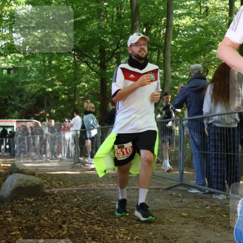 28.09.2025 - 33. Volkslauf durch das schöne Alstertal Strokosch-Dieckow http://msf.ph/oto/8956722 28.09.2025 12:53:13 Ziel  meine-sportfotos.de