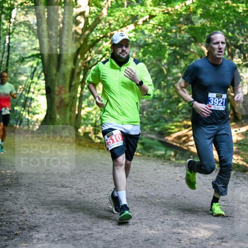 28.09.2025 - 33. Volkslauf durch das schöne Alstertal Dr. Thomas Lammeyer http://msf.ph/oto/8956731 28.09.2025 10:45:51 Laufen 2510, 3921 meine-sportfotos.de