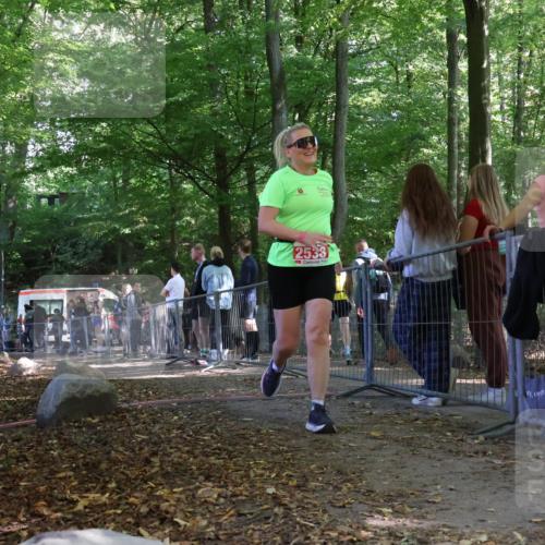 28.09.2025 - 33. Volkslauf durch das schöne Alstertal Strokosch-Dieckow http://msf.ph/oto/8956733 28.09.2025 12:53:47 Ziel 2538 meine-sportfotos.de