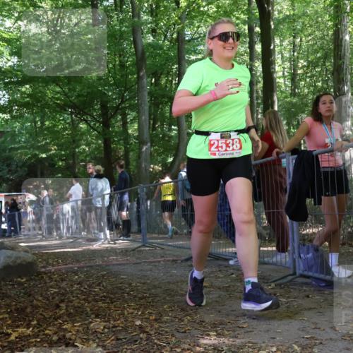 28.09.2025 - 33. Volkslauf durch das schöne Alstertal Strokosch-Dieckow http://msf.ph/oto/8956736 28.09.2025 12:53:47 Ziel 2538 meine-sportfotos.de