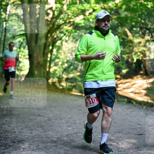 28.09.2025 - 33. Volkslauf durch das schöne Alstertal Dr. Thomas Lammeyer http://msf.ph/oto/8956737 28.09.2025 10:45:51 Laufen 510 meine-sportfotos.de
