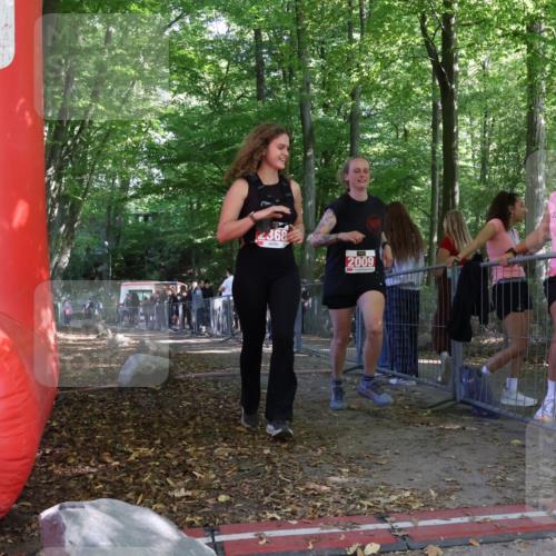 28.09.2025 - 33. Volkslauf durch das schöne Alstertal Strokosch-Dieckow http://msf.ph/oto/8956759 28.09.2025 12:54:28 Ziel 2009 meine-sportfotos.de