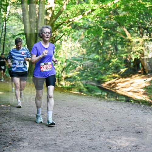 28.09.2025 - 33. Volkslauf durch das schöne Alstertal Dr. Thomas Lammeyer http://msf.ph/oto/8956761 28.09.2025 10:46:02 Laufen 3134, 2092 meine-sportfotos.de