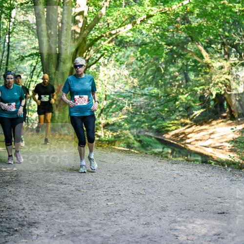 28.09.2025 - 33. Volkslauf durch das schöne Alstertal Dr. Thomas Lammeyer http://msf.ph/oto/8956784 28.09.2025 10:46:05 Laufen 2001, 2003 meine-sportfotos.de