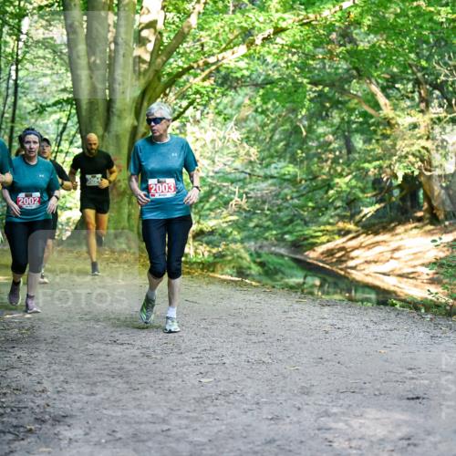 28.09.2025 - 33. Volkslauf durch das schöne Alstertal Dr. Thomas Lammeyer http://msf.ph/oto/8956785 28.09.2025 10:46:06 Laufen 2001, 2002, 3094, 2003 meine-sportfotos.de