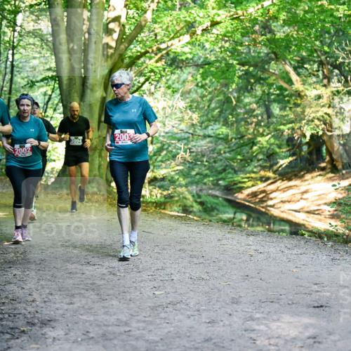 28.09.2025 - 33. Volkslauf durch das schöne Alstertal Dr. Thomas Lammeyer http://msf.ph/oto/8956787 28.09.2025 10:46:06 Laufen 2001, 2002, 2003, 3094 meine-sportfotos.de