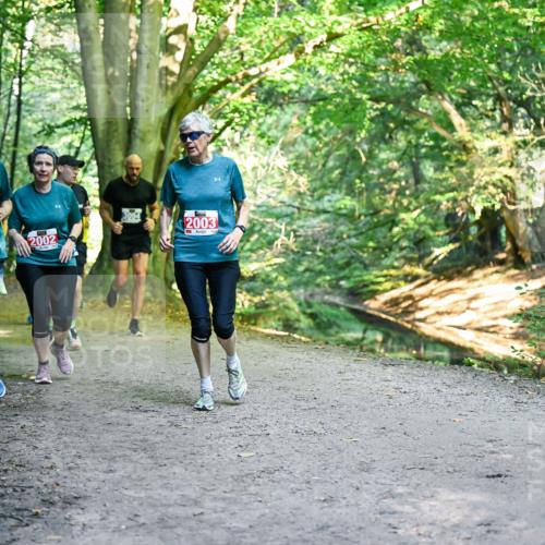 28.09.2025 - 33. Volkslauf durch das schöne Alstertal Dr. Thomas Lammeyer http://msf.ph/oto/8956790 28.09.2025 10:46:06 Laufen 2001, 2002, 2003 meine-sportfotos.de