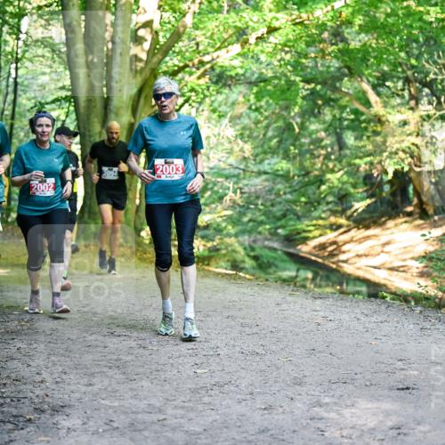 28.09.2025 - 33. Volkslauf durch das schöne Alstertal Dr. Thomas Lammeyer http://msf.ph/oto/8956792 28.09.2025 10:46:06 Laufen 2001, 2002, 3094, 2003 meine-sportfotos.de