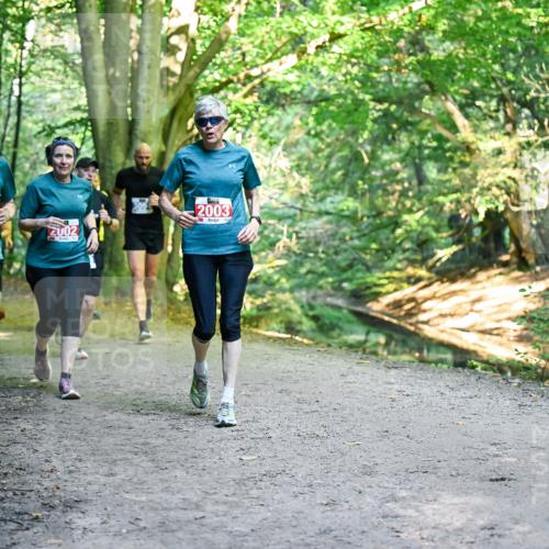28.09.2025 - 33. Volkslauf durch das schöne Alstertal Dr. Thomas Lammeyer http://msf.ph/oto/8956793 28.09.2025 10:46:06 Laufen 2001, 2002, 2003 meine-sportfotos.de