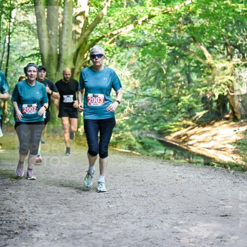 28.09.2025 - 33. Volkslauf durch das schöne Alstertal Dr. Thomas Lammeyer http://msf.ph/oto/8956795 28.09.2025 10:46:06 Laufen 2001, 2002, 3094, 2003 meine-sportfotos.de