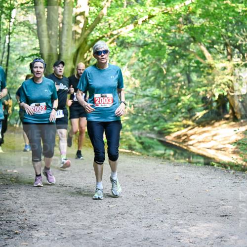 28.09.2025 - 33. Volkslauf durch das schöne Alstertal Dr. Thomas Lammeyer http://msf.ph/oto/8956800 28.09.2025 10:46:07 Laufen 2001, 2002, 2003 meine-sportfotos.de