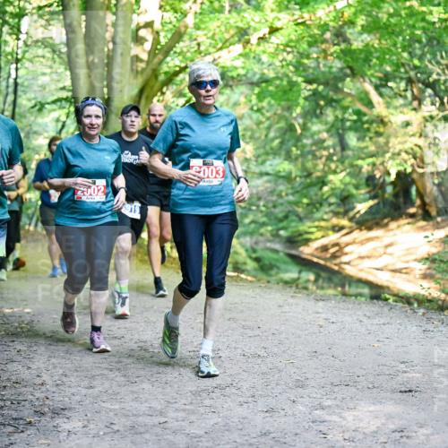 28.09.2025 - 33. Volkslauf durch das schöne Alstertal Dr. Thomas Lammeyer http://msf.ph/oto/8956803 28.09.2025 10:46:07 Laufen 2001, 003, 2002, 919 meine-sportfotos.de