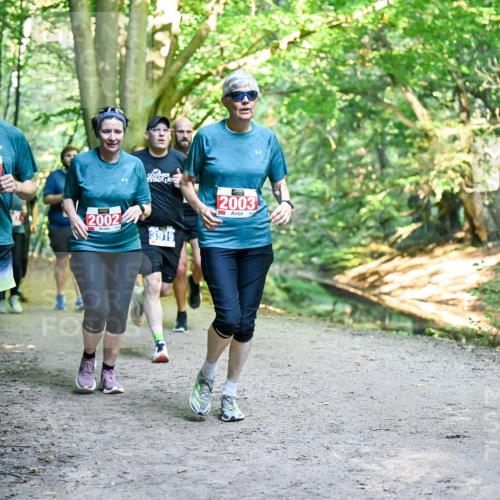28.09.2025 - 33. Volkslauf durch das schöne Alstertal Dr. Thomas Lammeyer http://msf.ph/oto/8956804 28.09.2025 10:46:07 Laufen 2001, 2002, 3919, 2003 meine-sportfotos.de