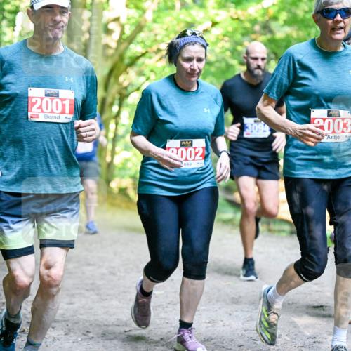 28.09.2025 - 33. Volkslauf durch das schöne Alstertal Dr. Thomas Lammeyer http://msf.ph/oto/8956818 28.09.2025 10:46:09 Laufen 2001, 3002, 2003 meine-sportfotos.de